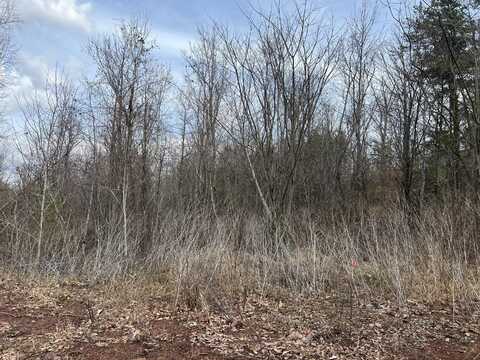 BLUETS Road, Newport, TN 37821