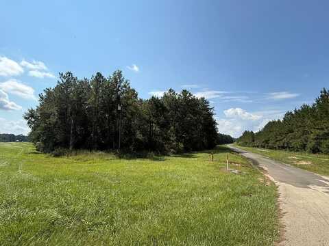 12342 87 S, Kirbyville, TX 75956