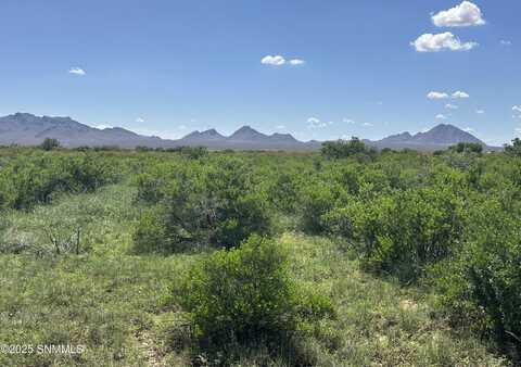 Tbd Tasmania Avenue, Las Cruces, NM 88012