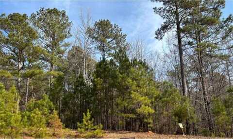 1330 SPINNAKER ROAD, Buckhead, GA 30625