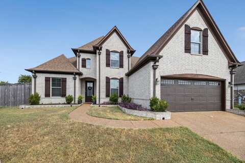 9272 ALCOVE, Cordova, TN 38016