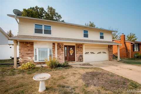 11118 Torigney Drive, Saint Louis, MO 63126