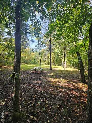 0 Little Indian Creek Rd Tax 33-5-150-0-000-001000, Lonedell, MO 63060