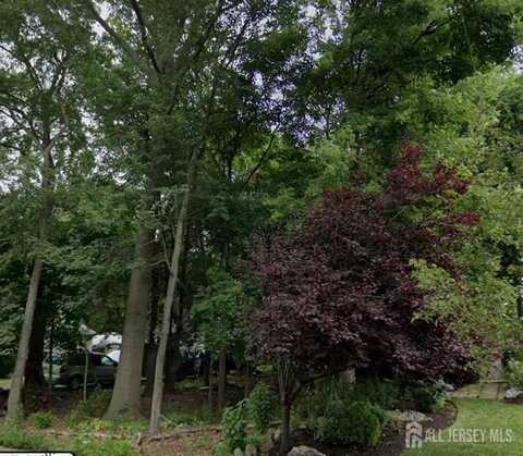 41 Chicago Avenue, Piscataway, NJ 08854