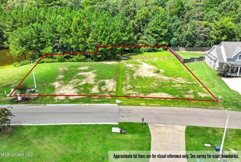 Asbury Lane Drive, Pearl, MS 39208
