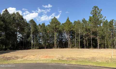 Summerour Road, Lucedale, MS 39452