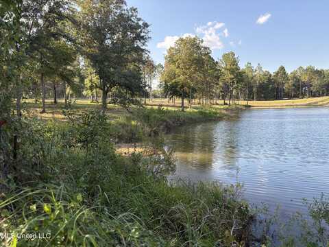 Shellcracker Drive, Lucedale, MS 39452