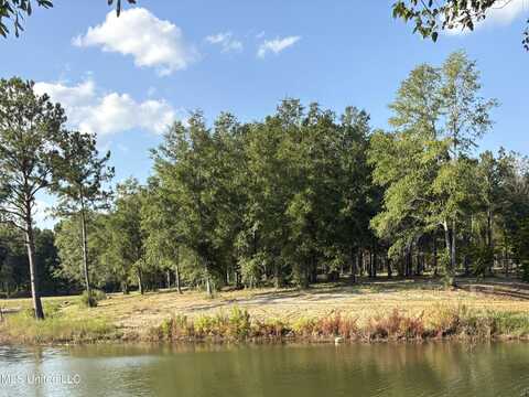 Sunfish Lane, Lucedale, MS 39452