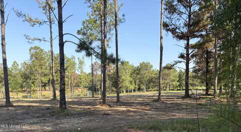 Shellcraker Drive, Lucedale, MS 39452