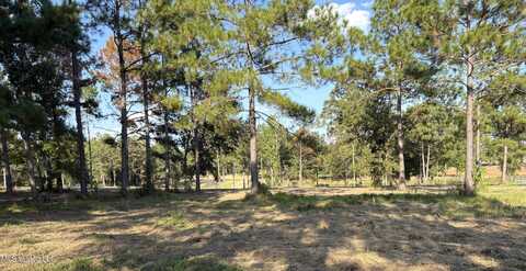 Shellcracker Drive, Lucedale, MS 39452