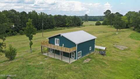 738 Pinola-Braxton Road, Braxton, MS 39044
