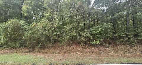 Woolsey Road, Olive Branch, MS 38654