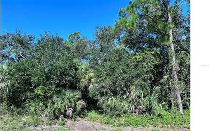 323 TROUTDALE STREET, PORT CHARLOTTE, FL 33954