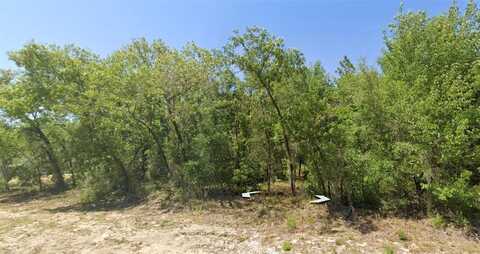RAINBOW LAKES BLVD, DUNNELLON, FL 34431