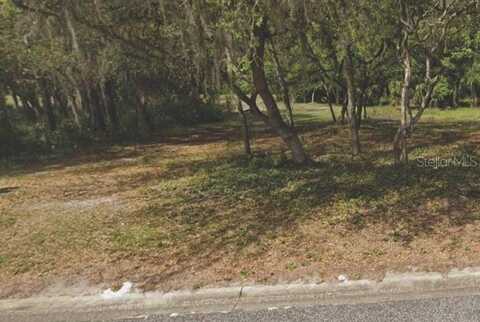 208 OAK RIDGE DRIVE, WELAKA, FL 32193