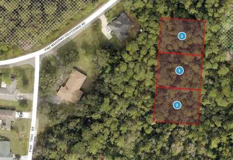 PINE MEADOWS RD, EUSTIS, FL 32736