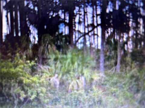 13486 CHAMBERLAIN BOULEVARD, PORT CHARLOTTE, FL 33953