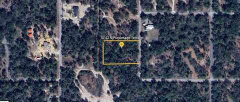 10122 N PURPLESAGE TERRACE, CRYSTAL RIVER, FL 34428