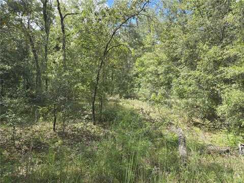00 NE 150TH CT, WILLISTON, FL 32696