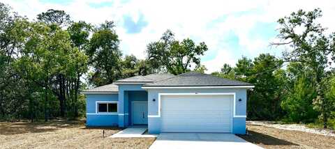 63 GUAVA PLACE DRIVE, OCKLAWAHA, FL 32179
