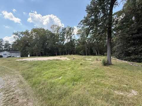 110 Magnolia, McIntyre, GA 31054