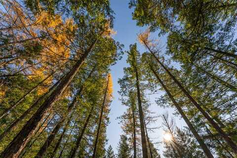 150 Peters Creek Way, Kalispell, MT 59901