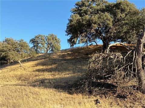 2495 Maverick Way, Paso Robles, CA 93446
