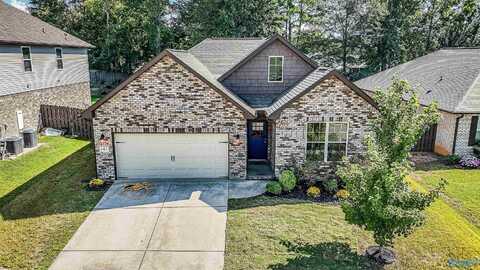 147 NW Fernhill Drive NW, Madison, AL 35757