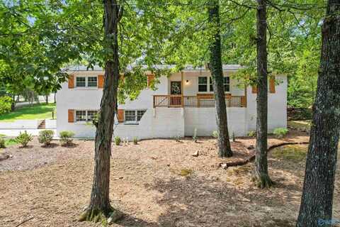 7916 Valley View Drive SE, Huntsville, AL 35802