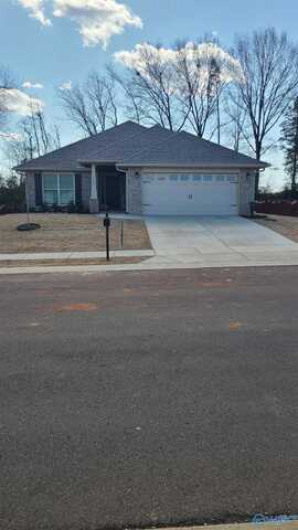 144 Abercorn Drive, Madison, AL 35756
