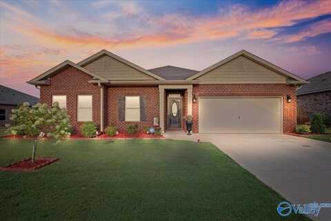 13126 Belman Lane, Athens, AL 35613