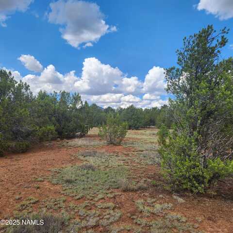 1413 E Ventura Avenue, Williams, AZ 86046