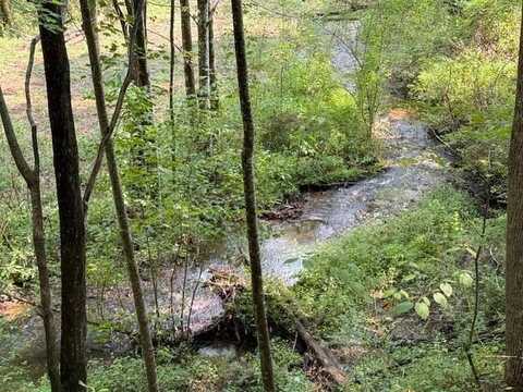 Lot 4 George Drive, Topton, NC 28781