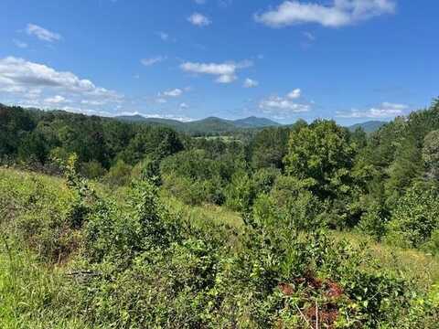 Lot 18 Saddle Ridge Farms, Warne, NC 28909