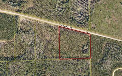 TBD SE Family Rd, Lake City, FL 32025