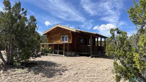 430 Cimarron Drive Road, Quemado, NM 87829