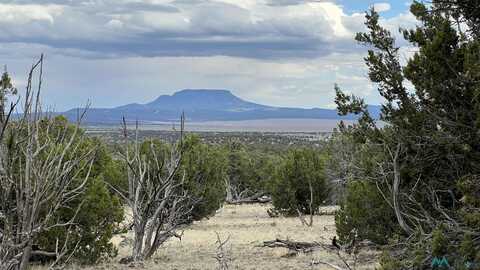 Squaw Pass Road, Quemado, NM 87829
