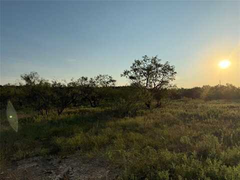 Tbd CR 120, Gordon, TX 76453