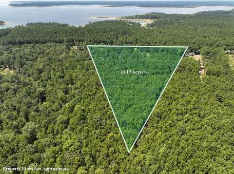 1 FM 3173, Broaddus, TX 75929