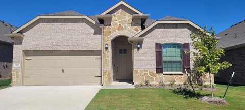 1125 Water Canna Drive, Justin, TX 76247