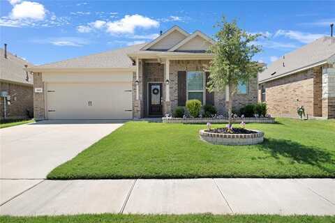 1405 Crescent View Drive, Anna, TX 75409