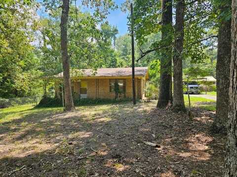 231 Stonehenge Drive, Woodville, TX 75979