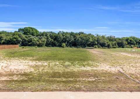 6610 Waggoner Way, Midlothian, TX 76065