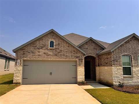 7238 Amber Barn Avenue, Pilot Point, TX 76258