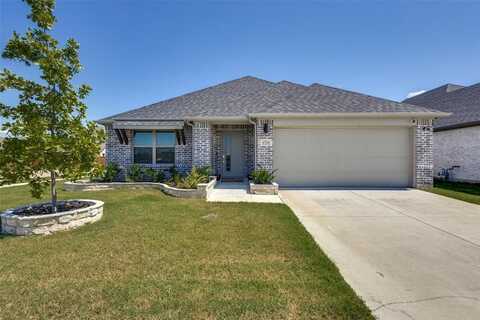 1711 Dove Drive, Princeton, TX 75407