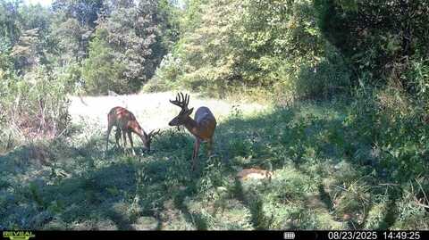 435 Fisher Ridge Road, Horse Cave, KY 42749