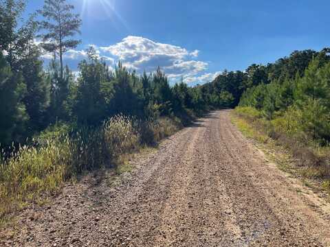 0 CR 81 & CR 83, Mccarley, MS 38943