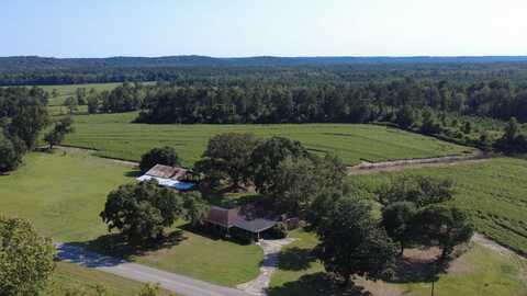 1 County Road 223, New Brockton, AL 36351