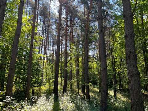 00 County Route 47, Winthrop, NY 13676