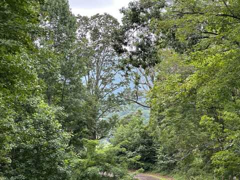 TBD Paradise Valley Drive, Creston, NC 28615